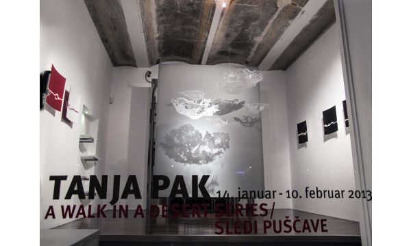 2013.01.14_SLEDI_PUŠČAVE-01.jpg