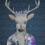 Mr.wonDeerful