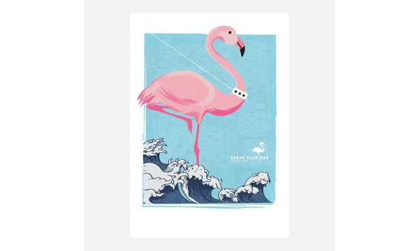 Urban Flamingo